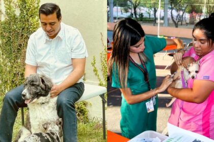  Jesús Nava fortalece acciones de prevención para perros y gatos