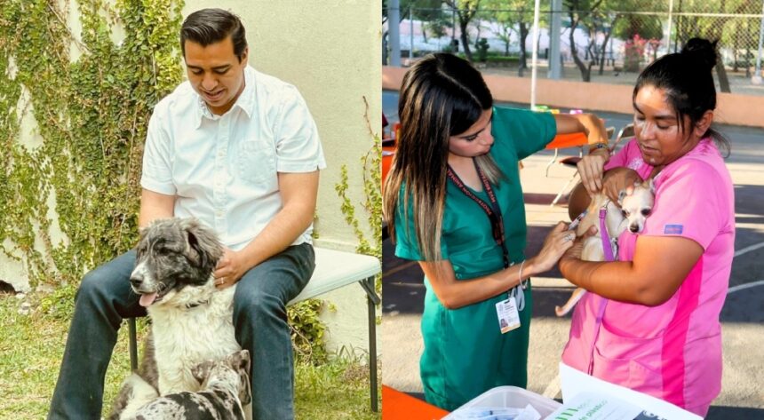  Jesús Nava fortalece acciones de prevención para perros y gatos