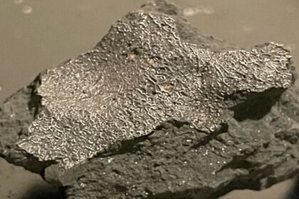 Un meteorito hallado en Nueva Jersey aporta información primordial sobre el origen de la vida en nuestro planeta.