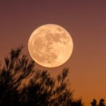 Descubre cuándo y cómo observar la impactante Luna de Ciervo 2026 desde México. Un espectáculo astronómico imperdible.