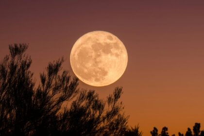 Descubre cuándo y cómo observar la impactante Luna de Ciervo 2026 desde México. Un espectáculo astronómico imperdible.