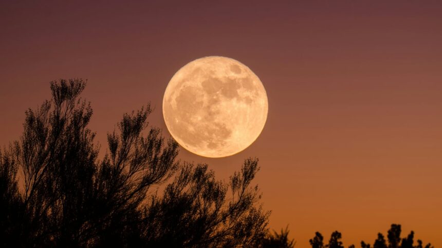 Descubre cuándo y cómo observar la impactante Luna de Ciervo 2026 desde México. Un espectáculo astronómico imperdible.